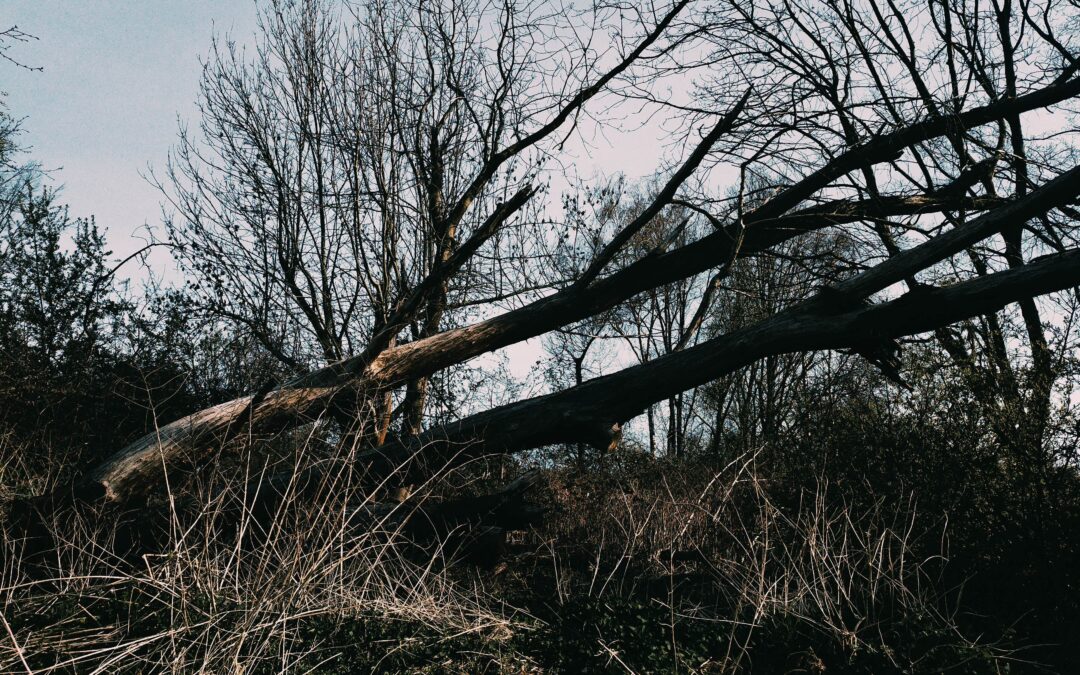 Wie lange dauert die Heilung bei Bindungs- und Entwicklungstrauma?